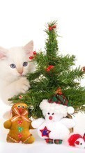 Lade kostenlos 320x480 Hintergrundbilder Feiertage,Tiere,Katzen,Neujahr,Spielzeug,Tannenbaum,Weihnachten für Handy oder Tablet herunter.