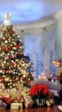 Feiertage,Neujahr,Tannenbaum,Weihnachten,Postkarten für HTC Desire 610