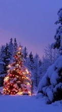 Lade kostenlos Hintergrundbilder Tannenbaum,Neujahr,Landschaft,Winterreifen für Handy oder Tablet herunter.