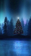 Lade kostenlos Hintergrundbilder Tannenbaum,Neujahr,Feiertage für Handy oder Tablet herunter.