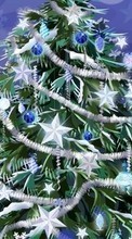 Lade kostenlos Hintergrundbilder Feiertage,Neujahr,Tannenbaum,Weihnachten,Bilder für Handy oder Tablet herunter.
