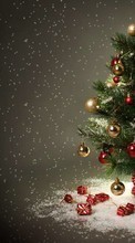 Lade kostenlos 1024x768 Hintergrundbilder Feiertage,Neujahr,Tannenbaum,Weihnachten für Handy oder Tablet herunter.