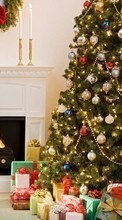 Lade kostenlos Hintergrundbilder Feiertage,Neujahr,Tannenbaum,Weihnachten für Handy oder Tablet herunter.