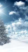 Lade kostenlos Hintergrundbilder Feiertage,Winterreifen,Sterne,Neujahr,Tannenbaum,Weihnachten für Handy oder Tablet herunter.