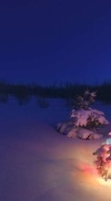 Winterreifen,Neujahr,Tannenbaum,Weihnachten,Bilder für Huawei P8 Lite