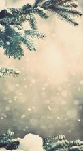 Lade kostenlos Hintergrundbilder Pflanzen,Landschaft,Winterreifen,Schnee,Tannenbaum für Handy oder Tablet herunter.