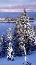 Lade kostenlos Hintergrundbilder Landschaft,Winterreifen,Flüsse,Tannenbaum für Handy oder Tablet herunter.