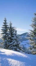 Lade kostenlos Hintergrundbilder Landschaft,Winterreifen,Tannenbaum für Handy oder Tablet herunter.