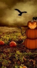 Lade kostenlos Hintergrundbilder Hintergrund,Halloween,Feiertage für Handy oder Tablet herunter.