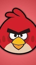 Lade kostenlos Hintergrundbilder Spiele,Hintergrund,Angry Birds für Handy oder Tablet herunter.
