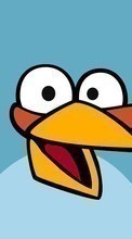 Spiele,Hintergrund,Angry Birds für Samsung Galaxy Grand Prime
