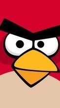 Lade kostenlos 1024x768 Hintergrundbilder Spiele,Hintergrund,Angry Birds,Bilder für Handy oder Tablet herunter.