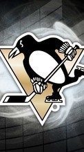 Lade kostenlos Hintergrundbilder Sport,Pinguins,Hintergrund,Logos,Eishockey für Handy oder Tablet herunter.