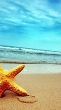 Lade kostenlos Hintergrundbilder Hintergrund,Sea,Starfish,Strand für Handy oder Tablet herunter.
