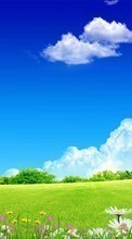 Lade kostenlos Hintergrundbilder Landschaft,Grass,Hintergrund,Sky,Clouds für Handy oder Tablet herunter.