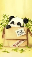 Lade kostenlos Hintergrundbilder Hintergrund,Pandas,Tiere für Handy oder Tablet herunter.