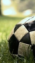 Lade kostenlos Hintergrundbilder Fußball,Sport für Handy oder Tablet herunter.