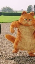 Lade kostenlos Hintergrundbilder Humor,Cartoon,Katzen,Garfield für Handy oder Tablet herunter.