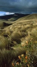 Lade kostenlos Hintergrundbilder Grass,Felder,Mountains,Clouds,Landschaft für Handy oder Tablet herunter.