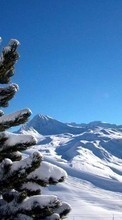 Lade kostenlos Hintergrundbilder Mountains,Landschaft,Kiefer,Winterreifen für Handy oder Tablet herunter.