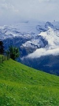 Lade kostenlos 240x400 Hintergrundbilder Landschaft,Grass,Mountains für Handy oder Tablet herunter.