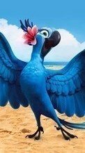 Cartoon,Vögel,Papageien,Rio für Sony Xperia TX