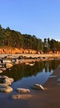 Landschaft,Stones,Sea,Strand für HTC Desire C