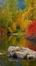 Lade kostenlos Hintergrundbilder Landschaft,Flüsse,Stones,Herbst für Handy oder Tablet herunter.