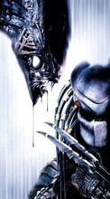 Lade kostenlos Hintergrundbilder Kino,AVP: Alien vs. Predator für Handy oder Tablet herunter.