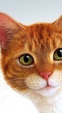 Lade kostenlos Hintergrundbilder Tiere,Katzen,Bilder für Handy oder Tablet herunter.