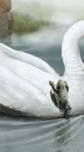 Lade kostenlos 1024x600 Hintergrundbilder Tiere,Vögel,Swans,Bilder für Handy oder Tablet herunter.