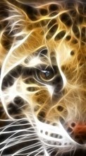 Lade kostenlos 320x480 Hintergrundbilder Tiere,Leopards für Handy oder Tablet herunter.
