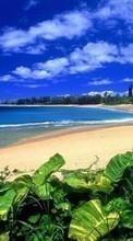 Pflanzen,Landschaft,Sky,Sea,Strand,Sommer für Samsung Galaxy Note