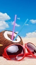 Lade kostenlos Hintergrundbilder Coconuts,Landschaft,Strand,Sommer,Getränke für Handy oder Tablet herunter.
