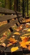 Lade kostenlos Hintergrundbilder Landschaft,Herbst,Blätter,Streets für Handy oder Tablet herunter.