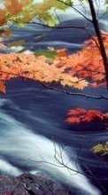 Lade kostenlos 240x400 Hintergrundbilder Landschaft,Wasser,Herbst,Blätter für Handy oder Tablet herunter.