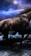 Tiere,Landschaft,Pferde,Clouds für Asus ZenPad 7.0 Z170C