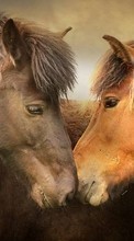 Pferde,Tiere für Huawei Honor 3C