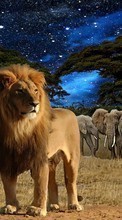 Lions,Tiere für LG G4