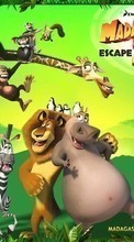 Lade kostenlos 320x480 Hintergrundbilder Cartoon,Madagaskar,Flucht nach Afrika für Handy oder Tablet herunter.