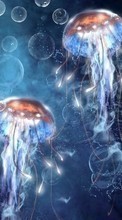 Lade kostenlos Hintergrundbilder Jellyfish,Tiere für Handy oder Tablet herunter.