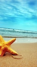 Lade kostenlos Hintergrundbilder Landschaft,Sky,Sea,Strand,Starfish für Handy oder Tablet herunter.