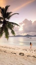 Lade kostenlos Hintergrundbilder Landschaft,Sky,Sea,Strand,Palms für Handy oder Tablet herunter.