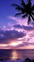 Lade kostenlos Hintergrundbilder Landschaft,Sunset,Sky,Sea,Sun,Palms für Handy oder Tablet herunter.