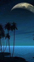 Lade kostenlos Hintergrundbilder Sea,Übernachtung,Palms,Landschaft für Handy oder Tablet herunter.
