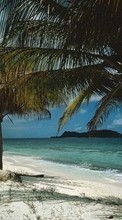 Lade kostenlos Hintergrundbilder Landschaft,Sea,Clouds,Strand,Palms für Handy oder Tablet herunter.