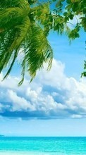 Lade kostenlos Hintergrundbilder Palms,Landschaft,Sea,Clouds,Strand für Handy oder Tablet herunter.