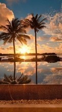 Lade kostenlos Hintergrundbilder Landschaft,Sunset,Sea,Clouds,Palms für Handy oder Tablet herunter.
