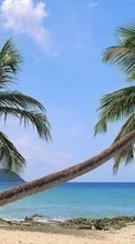 Lade kostenlos Hintergrundbilder Landschaft,Sea,Palms für Handy oder Tablet herunter.