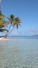 Lade kostenlos Hintergrundbilder Landschaft,Sea,Strand,Palms für Handy oder Tablet herunter.